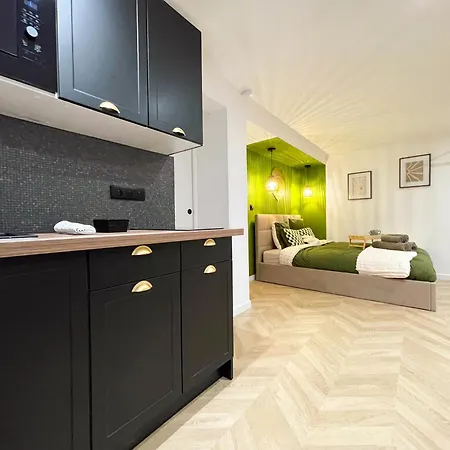 Apartment Suite Emeraude Selestat